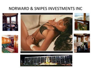 NORWARD & SNIPES INVESTMENTS INC 