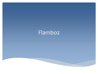 Flamboz
 
