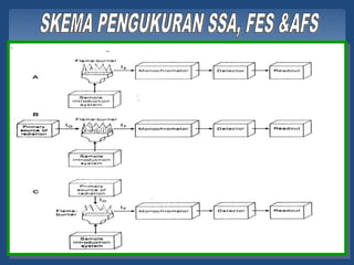 FES   19   23/11/2010
 