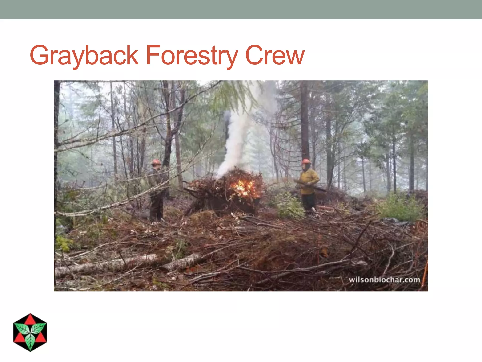Grayback Forestry Crew
 