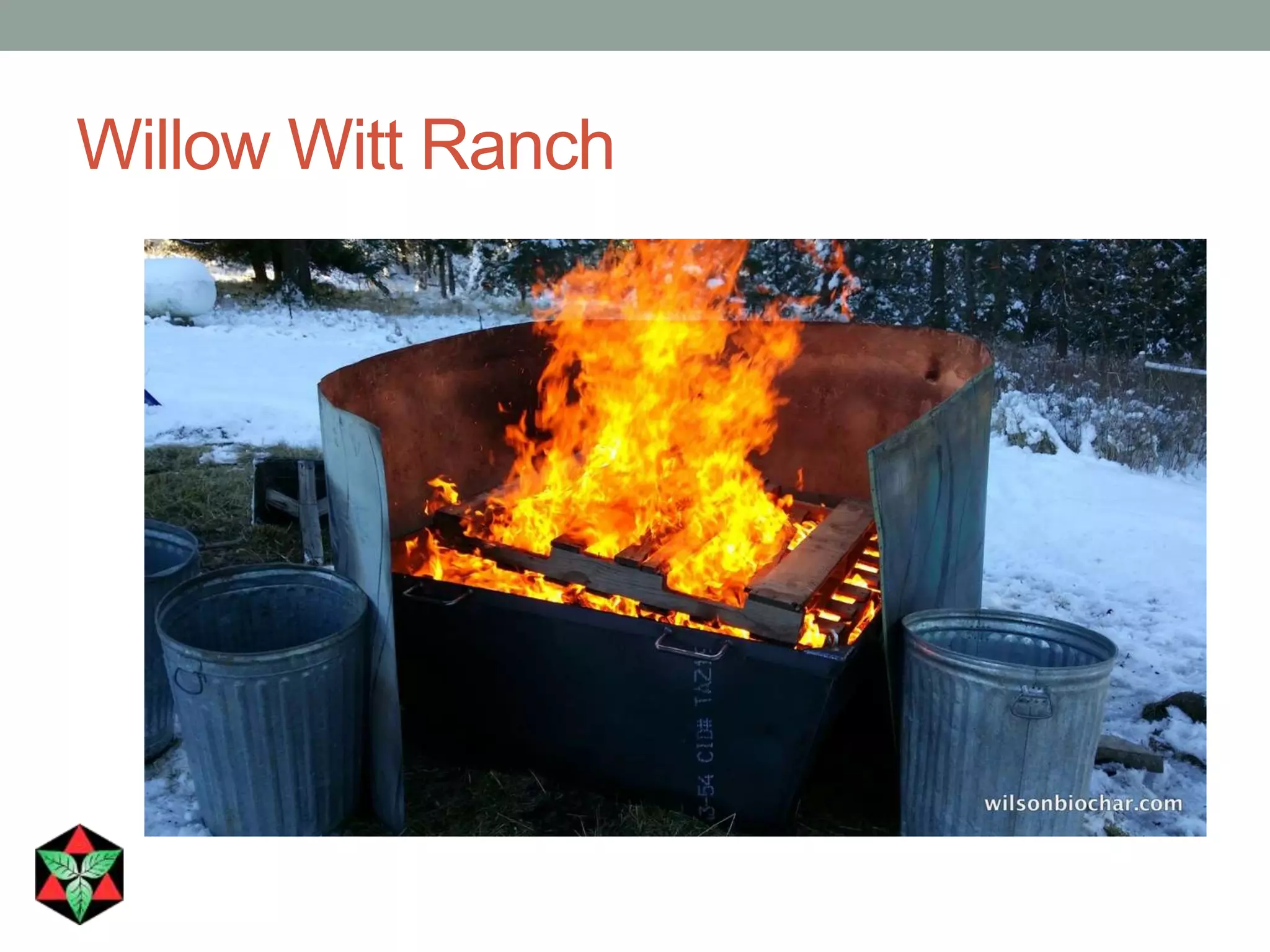 Willow Witt Ranch
 