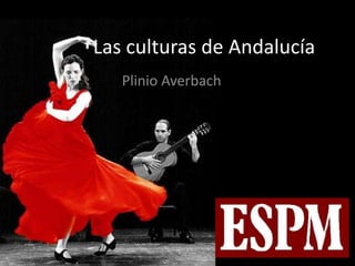 Las culturas de Andalucía PlinioAverbach 