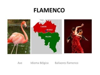 FLAMENCO




Ave   Idioma Bélgica   Bailaores flamenco
 