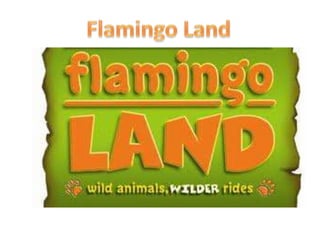 Flamingo land presention