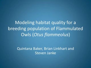 Modeling habitat quality for a breeding population of Flammulated Owls (Otus flammeolus) Quintana Baker, Brian Linkhart and Steven Janke 