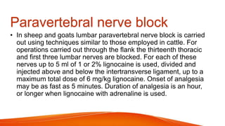 Paravertebral nerve block
• In sheep and goats lumbar paravertebral nerve block is carried
out using techniques similar to those employed in cattle. For
operations carried out through the flank the thirteenth thoracic
and first three lumbar nerves are blocked. For each of these
nerves up to 5 ml of 1 or 2% lignocaine is used, divided and
injected above and below the intertransverse ligament, up to a
maximum total dose of 6 mg/kg lignocaine. Onset of analgesia
may be as fast as 5 minutes. Duration of analgesia is an hour,
or longer when lignocaine with adrenaline is used.
 