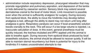 • administration include respiratory depression, pharyngeal relaxation that may
promote regurgitation and pulmonary aspiration, and depression of the lambs
or kids delivered by caesarian section. Sensory block may extend several
dermatomes cranial to the level of motor block. Limb movement is possible
even when the animal is sufficiently analgesic for surgery. During recovery
from epidural block, the ability to move the hindlimbs may develop before
analgesia is lost, although the ability to stand may not return until long after
analgesia is gone. Respiratory paralysis can occur if local anaesthetic solution
travels cranially to the neck. This will occur if a too large volume is injected, i.e.
inaccurate calculation of dose. In this event, general anesthesia must be
quickly induced, the trachea intubated and IPPV applied until the animal is
able to breathe again. During recovery from epidural block produced by local
anaesthetic solutions, the animal should be allowed to recover quietly. It will be
able to maintain sternal recumbency but there is potential for injury to the
hindlimbs if it makes uncoordinated attempts to rise
 