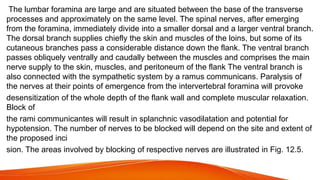 The lumbar foramina are large and are situated between the base of the transverse
processes and approximately on the same level. The spinal nerves, after emerging
from the foramina, immediately divide into a smaller dorsal and a larger ventral branch.
The dorsal branch supplies chiefly the skin and muscles of the loins, but some of its
cutaneous branches pass a considerable distance down the flank. The ventral branch
passes obliquely ventrally and caudally between the muscles and comprises the main
nerve supply to the skin, muscles, and peritoneum of the flank The ventral branch is
also connected with the sympathetic system by a ramus communicans. Paralysis of
the nerves at their points of emergence from the intervertebral foramina will provoke
desensitization of the whole depth of the flank wall and complete muscular relaxation.
Block of
the rami communicantes will result in splanchnic vasodilatation and potential for
hypotension. The number of nerves to be blocked will depend on the site and extent of
the proposed inci
sion. The areas involved by blocking of respective nerves are illustrated in Fig. 12.5.
 