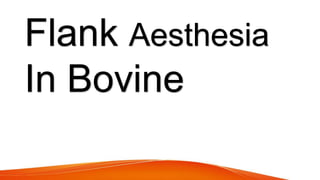 Flank Aesthesia
In Bovine
 