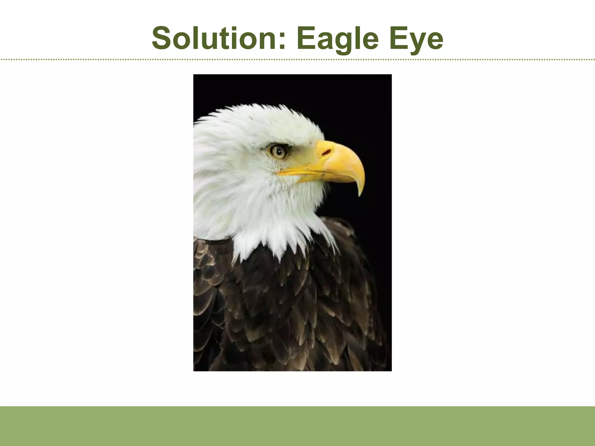 Solution: Eagle Eye
 