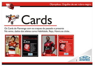 Fla Olk 14 Idéias Rodrigo