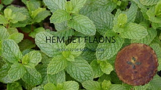 HEM FET FLAONS
DIJOUS 22 DE MARÇ DE 2018
 