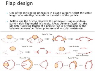 Flap physiology | PPTX