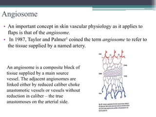 Flap physiology | PPTX