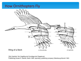 Ornitoptero Flapping Ornithopters | PPTX