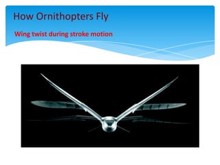 Ornitoptero Flapping Ornithopters | PPTX