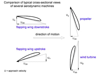 Flapped Flapping Ornithopters | PPTX