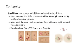 Random Pattern Flasps Flaps and grafts in plastic surgery | PPTX