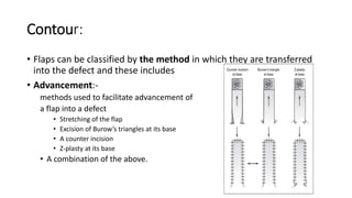 Flaps and grafts in plastic surgery | PPTX