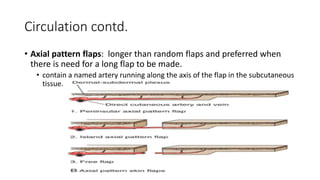 Flaps and grafts in plastic surgery | PPTX