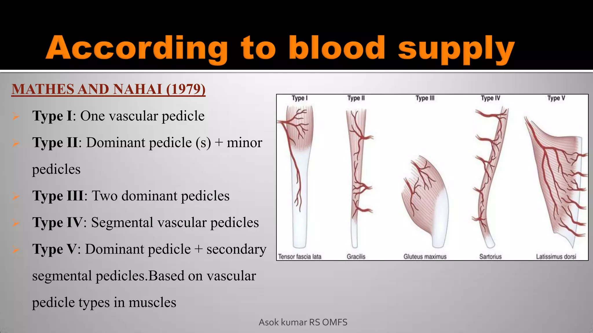 MATHES AND NAHAI (1979)
 Type I: One vascular pedicle
 Type II: Dominant pedicle (s) + minor
pedicles
 Type III: Two dominant pedicles
 Type IV: Segmental vascular pedicles
 Type V: Dominant pedicle + secondary
segmental pedicles.Based on vascular
pedicle types in muscles
Asok kumar RS OMFS
 