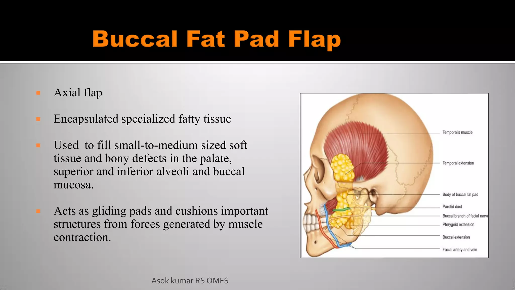  Axial flap
 Encapsulated specialized fatty tissue
 Used to fill small-to-medium sized soft
tissue and bony defects in the palate,
superior and inferior alveoli and buccal
mucosa.
 Acts as gliding pads and cushions important
structures from forces generated by muscle
contraction.
Asok kumar RS OMFS
 