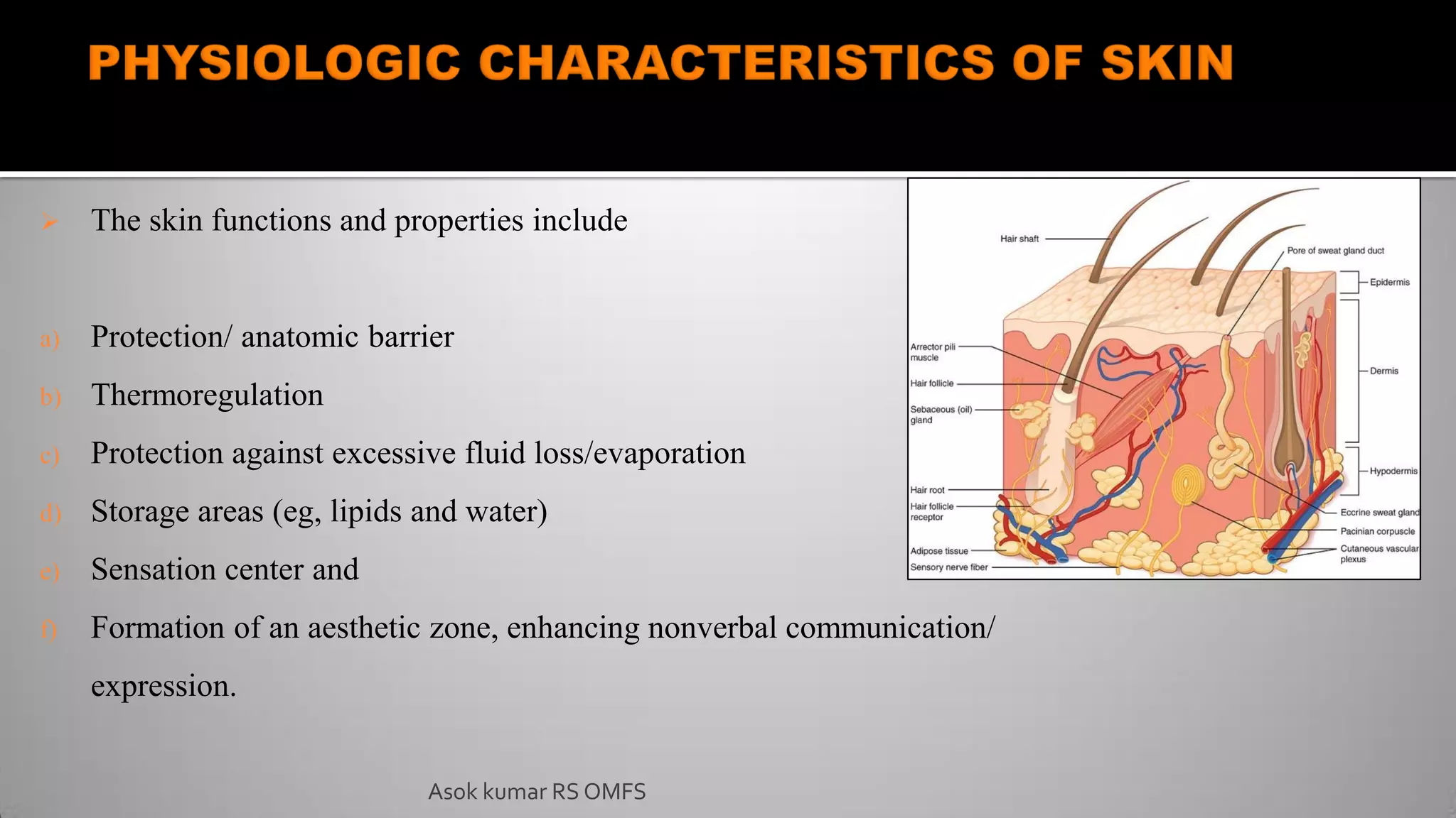  The skin functions and properties include
a) Protection/ anatomic barrier
b) Thermoregulation
c) Protection against excessive fluid loss/evaporation
d) Storage areas (eg, lipids and water)
e) Sensation center and
f) Formation of an aesthetic zone, enhancing nonverbal communication/
expression.
Asok kumar RS OMFS
 