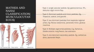 Comprehensive Overview of Flap Surgery: Anatomy, Classification, and ...