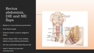 Comprehensive Overview of Flap Surgery: Anatomy, Classification, and ...