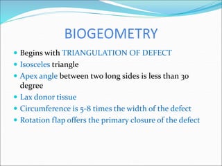 Flaps Basics and Important Leg Flaps and Trauma to Leg management | PPT