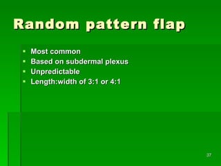 Random pattern flap Most common Based on subdermal plexus Unpredictable Length:width of 3:1 or 4:1  