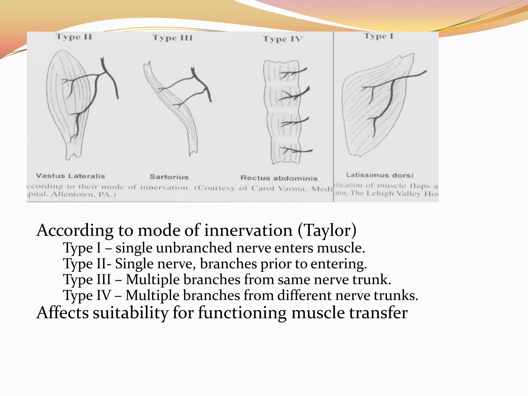 Random Pattern Flap Innervation Flaps in plastic surgery | PPTX