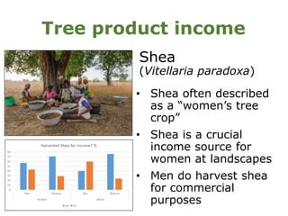 Customary tenure, gender and access to forests and trees in Ghana and Burkina Faso