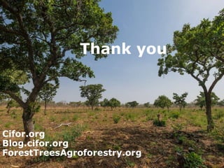 Customary tenure, gender and access to forests and trees in Ghana and Burkina Faso