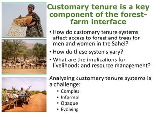 Customary tenure is a key
component of the forest-
farm interface
• How do customary tenure systems
affect access to fores...