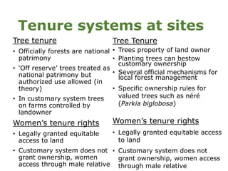Customary tenure, gender and access to forests and trees in Ghana and Burkina Faso