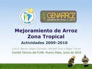 Mejoramiento de Arroz Zona Tropical Luis E. Berrio, Edgar Corredor, Maribel Cruz y Edgar Torres Comité Técnico del FLAR- Puerto Plata, Junio de 2010 Actividades 2009-2010 