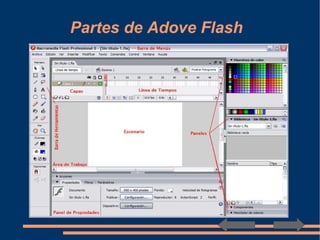Partes de Adove Flash  