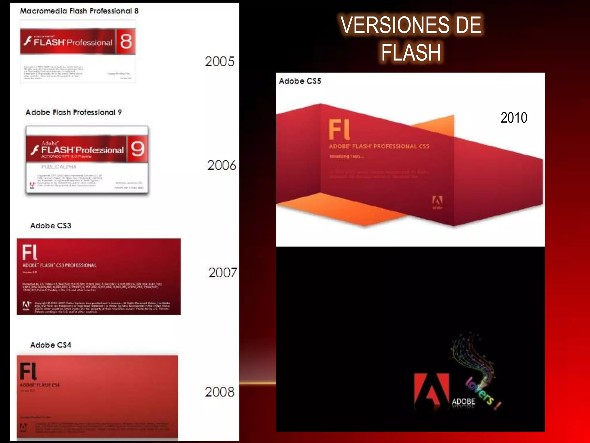 VERSIONES DE
   FLASH

               2010
 