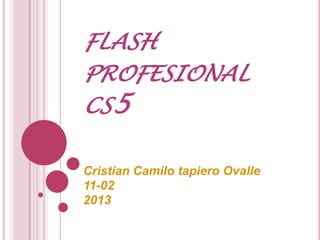 FLASH
PROFESIONAL
CS5

Cristian Camilo tapiero Ovalle
11-02
2013
 