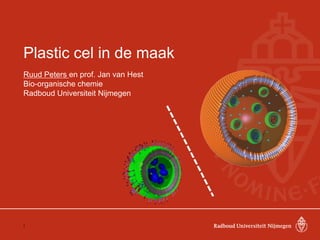 Plastic cel in de maak
Ruud Peters en prof. Jan van Hest
Bio-organische chemie
Radboud Universiteit Nijmegen
1
 