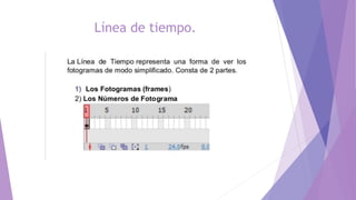 Línea de tiempo.
 