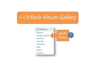 Flash album gallery2