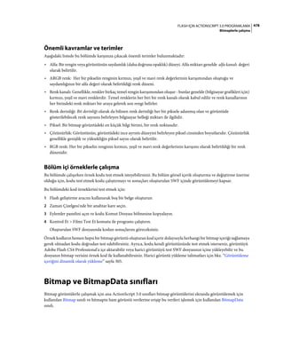 Adobe Flash as3 actionscript 3 ile programlama türkçe