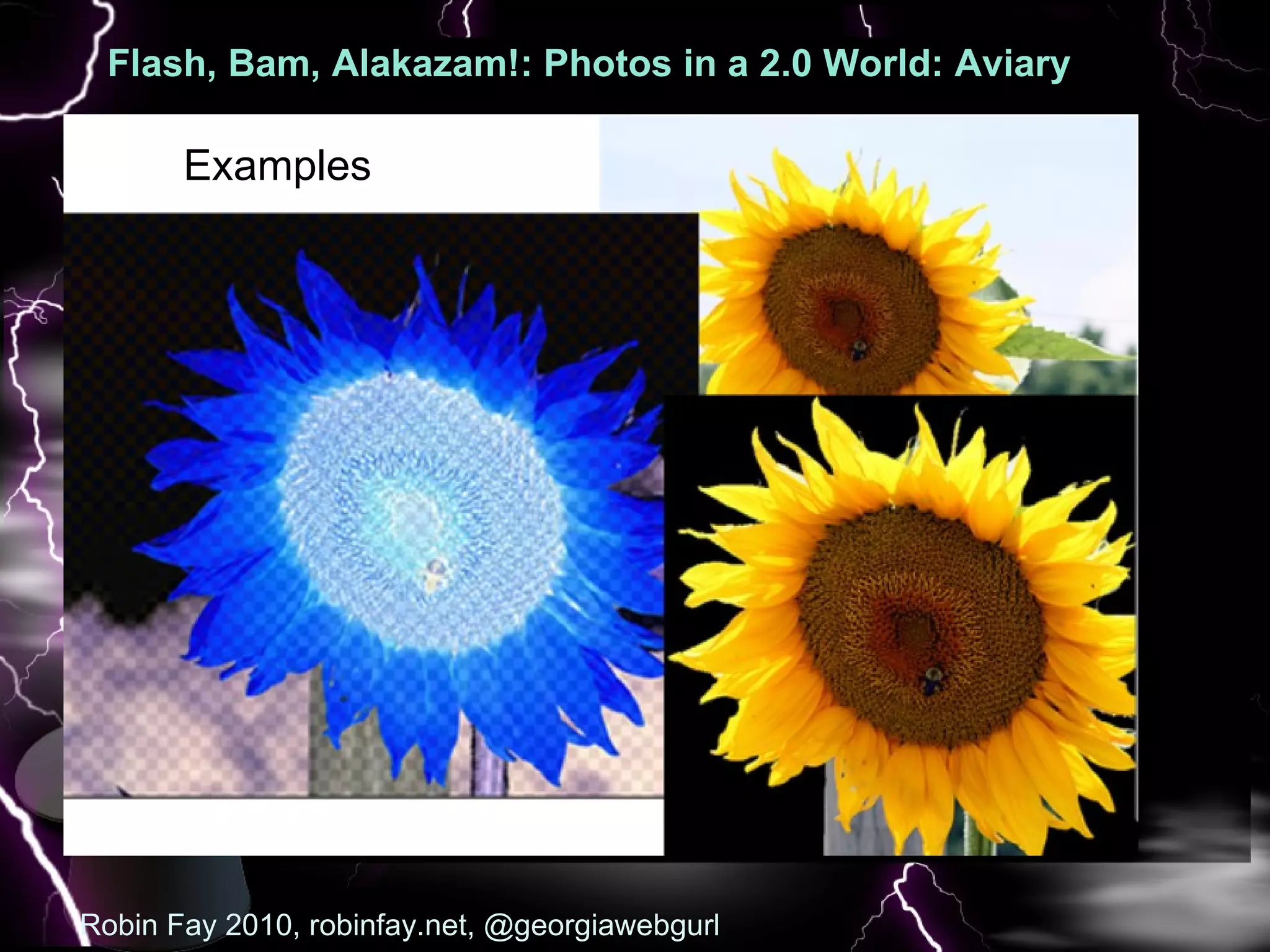 Flash, Bam, Alakazam!: Photos in a 2.0 World: Aviary  : Pic Robin Fay 2010, robinfay.net, @georgiawebgurl Examples 