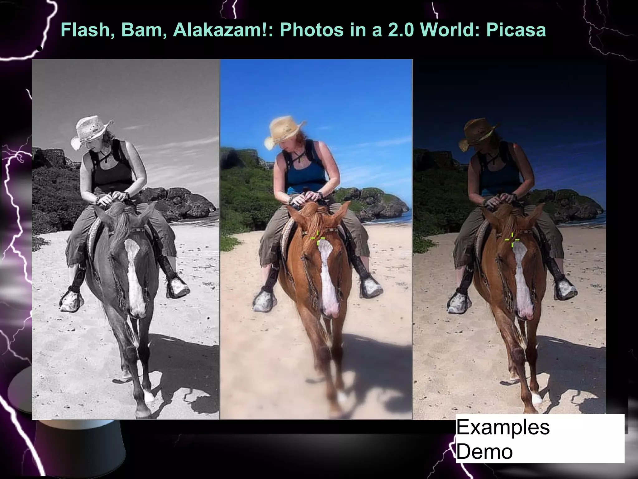 Flash, Bam, Alakazam!: Photos in a 2.0 World: Picasa  : Pic   Examples Demo 