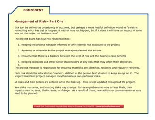 Prince 2 Flashcard for exam preperations | PDF