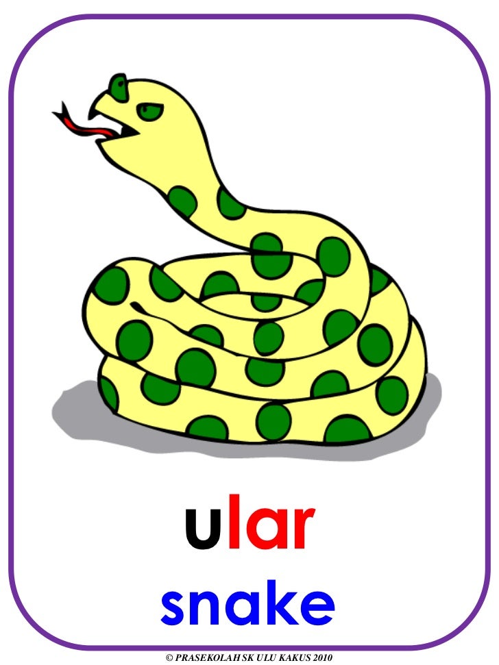 Flash Card Haiwan Liar Bm Bi