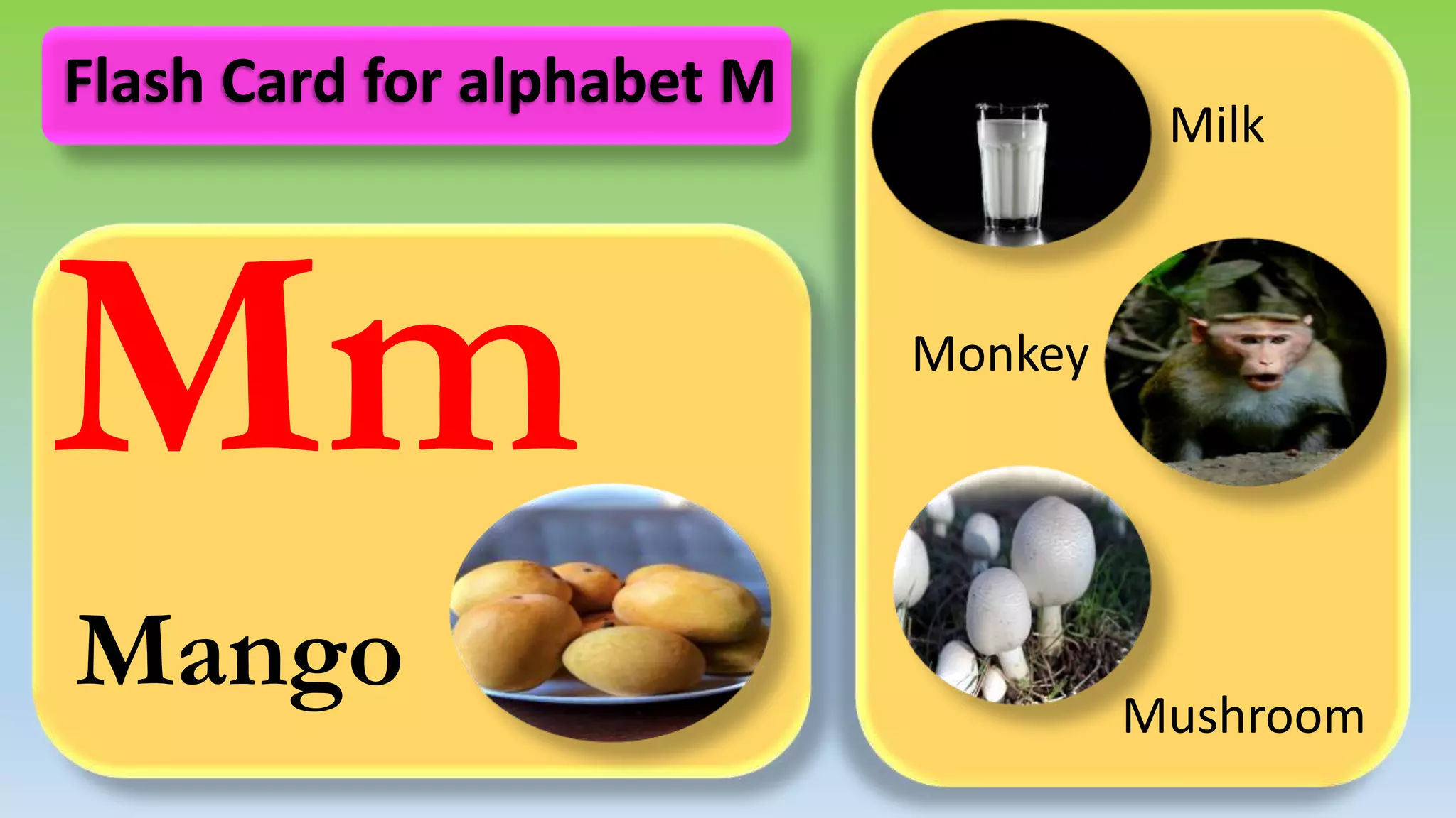 Mm
Mango
Milk
Monkey
Mushroom
Flash Card for alphabet M
 