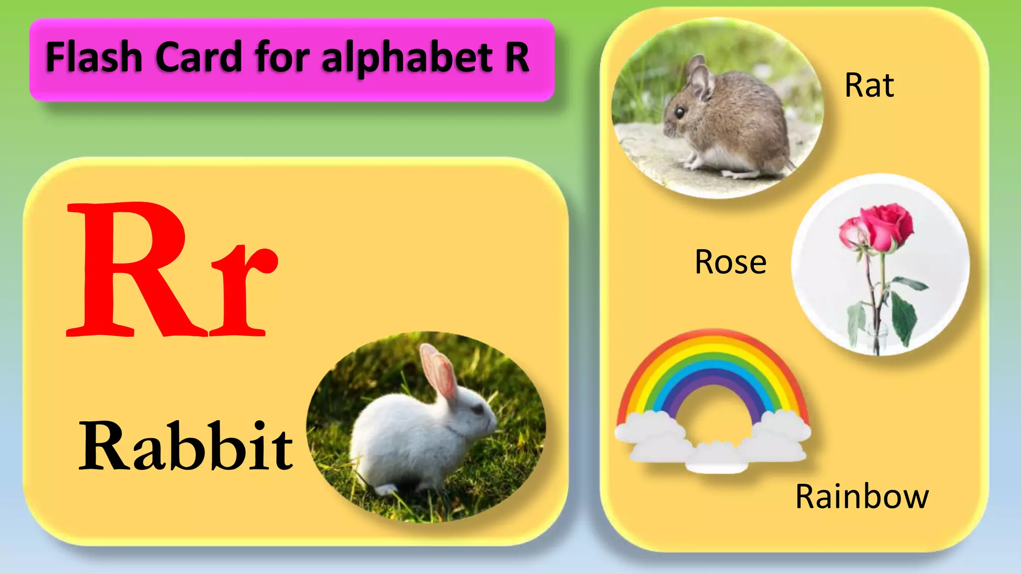 Rr
Rabbit
Rat
Rose
Rainbow
Flash Card for alphabet R
 